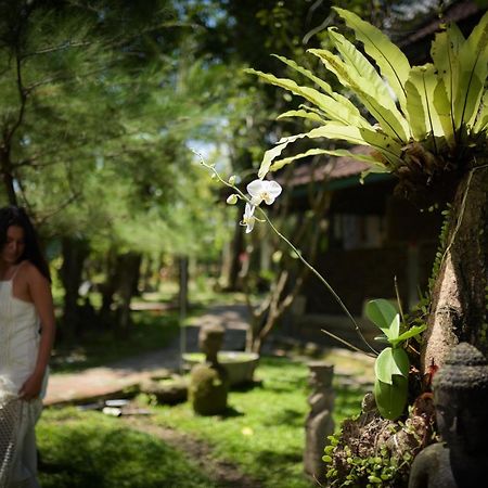 Taman Nauli Boutique Rooms Canggu  Exterior photo