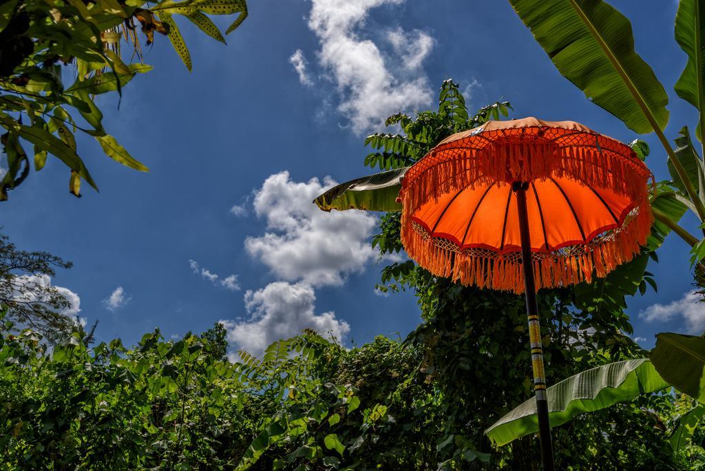 Taman Nauli Boutique Rooms Canggu  Exterior photo