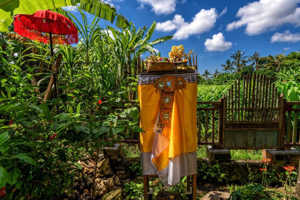 Taman Nauli Boutique Rooms Canggu  Exterior photo