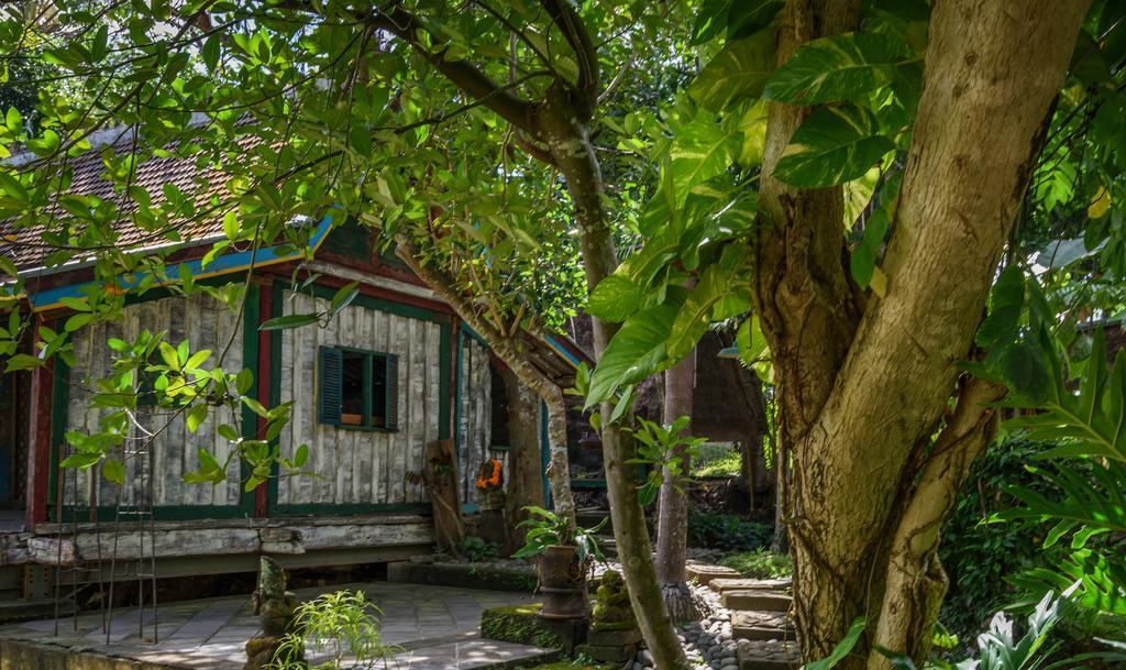 Taman Nauli Boutique Rooms Canggu  Exterior photo